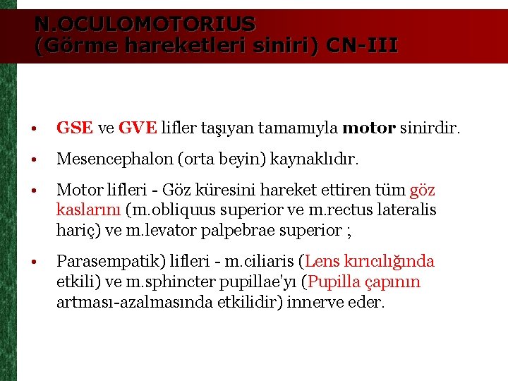 N. OCULOMOTORIUS (Görme hareketleri siniri) CN-III • GSE ve GVE lifler taşıyan tamamıyla motor