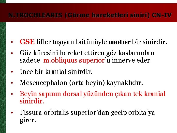 N. TROCHLEARIS (Görme hareketleri siniri) CN-IV • GSE lifler taşıyan bütünüyle motor bir sinirdir.