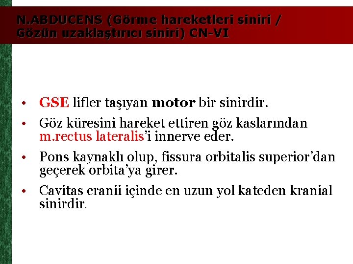 N. ABDUCENS (Görme hareketleri siniri / Gözün uzaklaştırıcı siniri) CN-VI • GSE lifler taşıyan