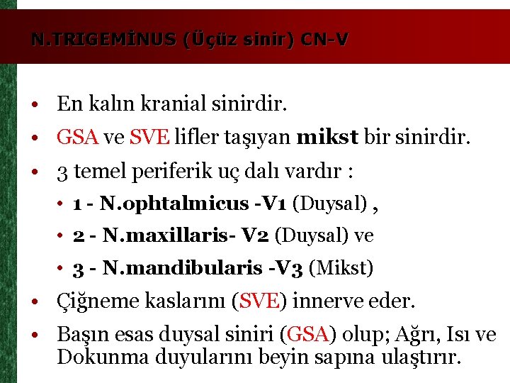 N. TRIGEMİNUS (Üçüz sinir) CN-V • En kalın kranial sinirdir. • GSA ve SVE