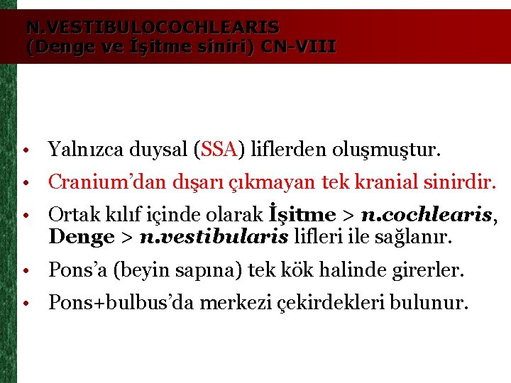 N. VESTIBULOCOCHLEARIS (Denge ve İşitme siniri) CN-VIII • Yalnızca duysal (SSA) liflerden oluşmuştur. •