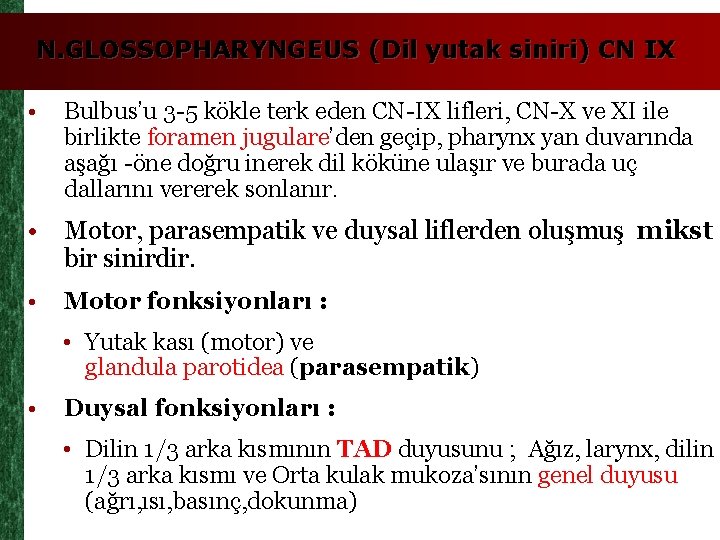 N. GLOSSOPHARYNGEUS (Dil yutak siniri) CN IX • Bulbus’u 3 -5 kökle terk eden