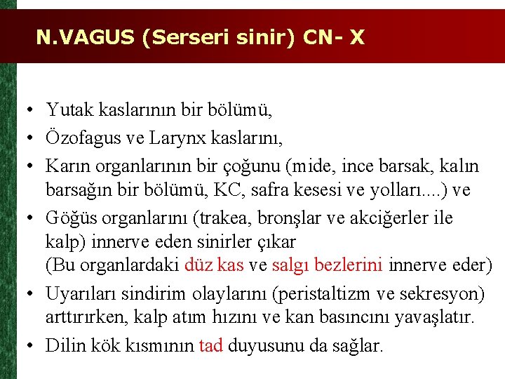 N. VAGUS (Serseri sinir) CN- X • Yutak kaslarının bir bölümü, • Özofagus ve