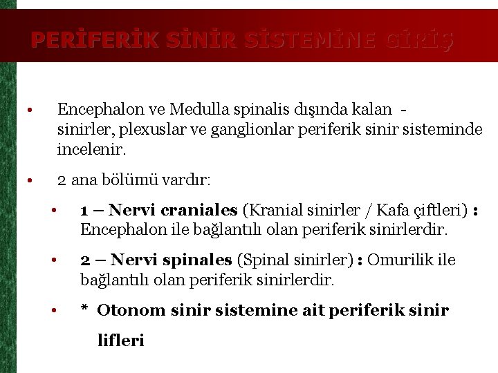 PERİFERİK SİNİR SİSTEMİNE GİRİŞ • Encephalon ve Medulla spinalis dışında kalan sinirler, plexuslar ve