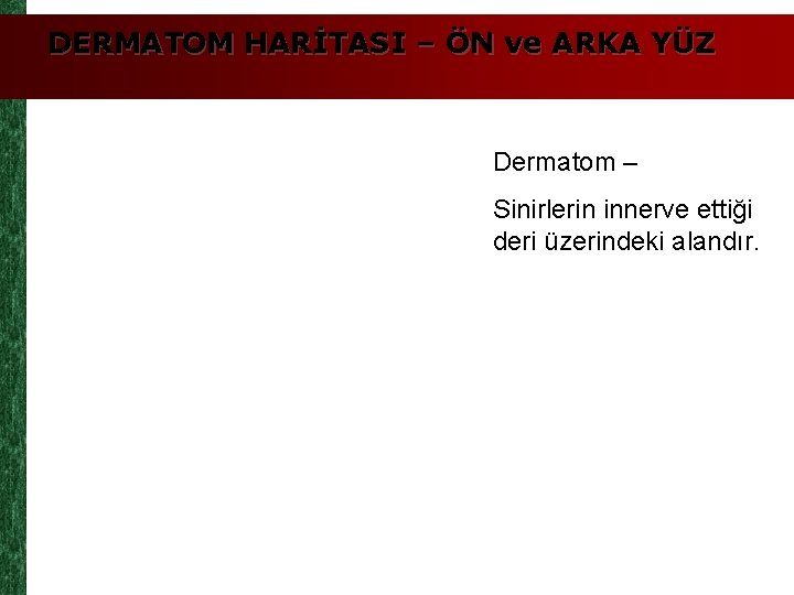 DERMATOM HARİTASI – ÖN ve ARKA YÜZ Dermatom – Sinirlerin innerve ettiği deri üzerindeki