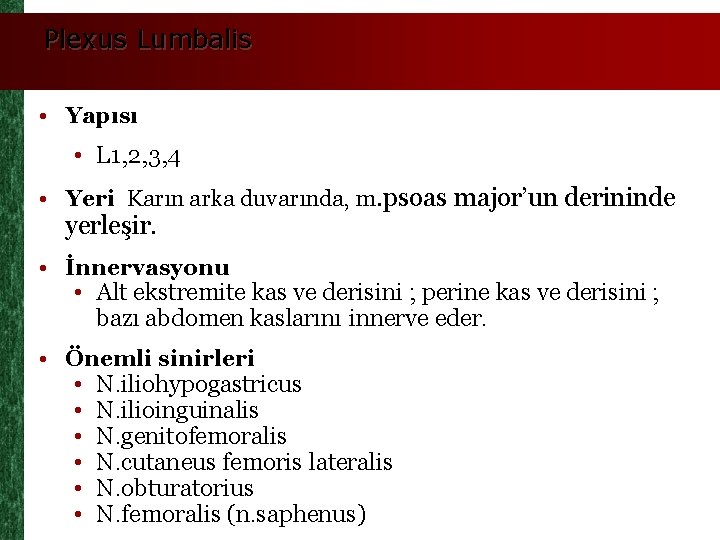 Plexus Lumbalis • Yapısı • L 1, 2, 3, 4 • Yeri Karın arka