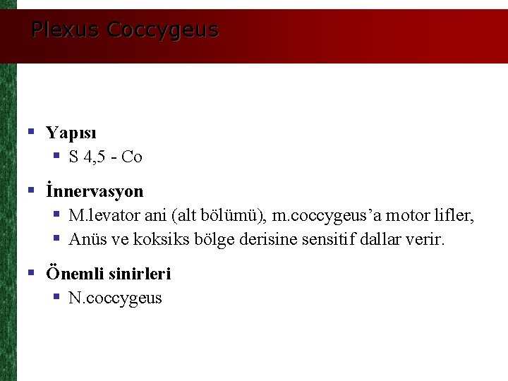 Plexus Coccygeus § Yapısı § S 4, 5 - Co § İnnervasyon § M.