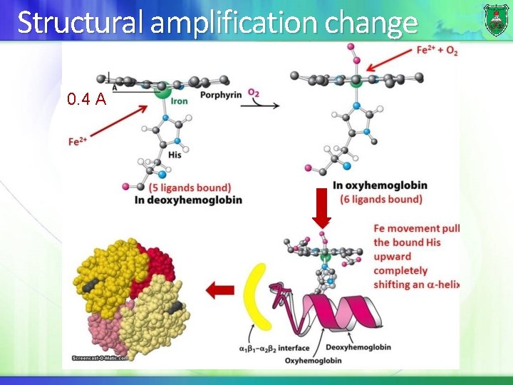 Structural amplification change 0. 4 A 