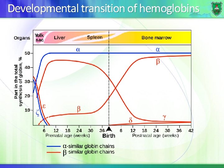 Developmental transition of hemoglobins 