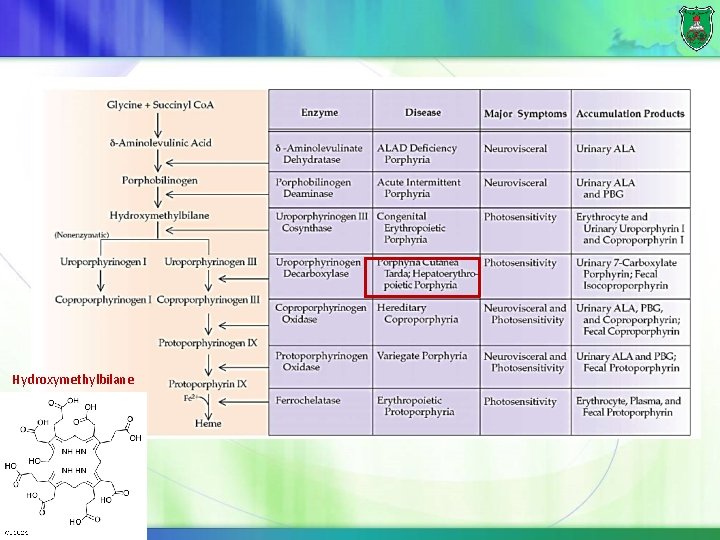 Hydroxymethylbilane 