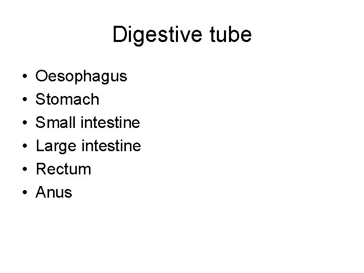 Digestive tube • • • Oesophagus Stomach Small intestine Large intestine Rectum Anus 