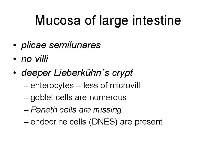 Mucosa of large intestine • plicae semilunares • no villi • deeper Lieberkühn´s crypt