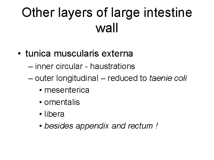 Other layers of large intestine wall • tunica muscularis externa – inner circular -