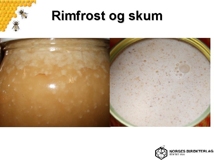 Rimfrost og skum 