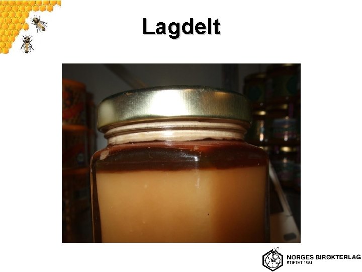 Lagdelt 