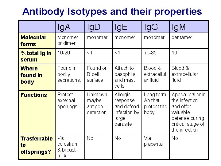 Antibody Isotypes and their properties Ig. A Ig. D Ig. E Ig. G Ig.