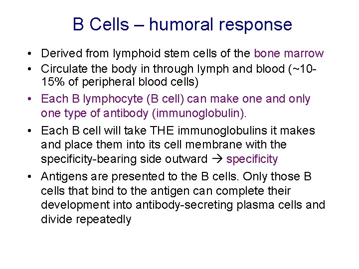 B Cells – humoral response • Derived from lymphoid stem cells of the bone