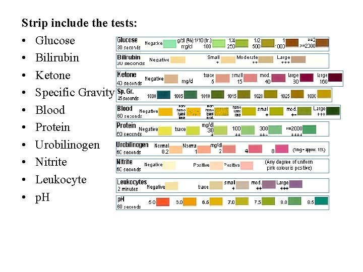 Strip include the tests: • Glucose • Bilirubin • Ketone • Specific Gravity •