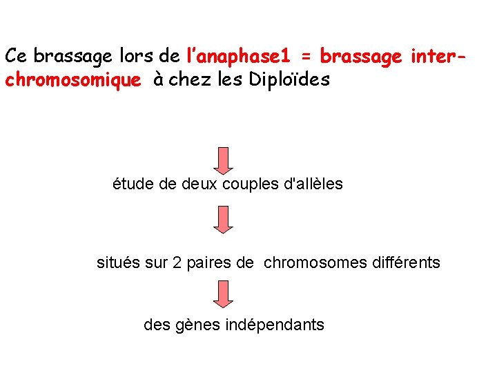 Ce brassage lors de l’anaphase 1 = brassage interchromosomique à chez les Diploïdes étude