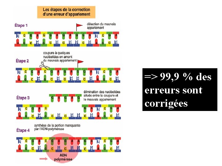 => 99, 9 % des erreurs sont corrigées 