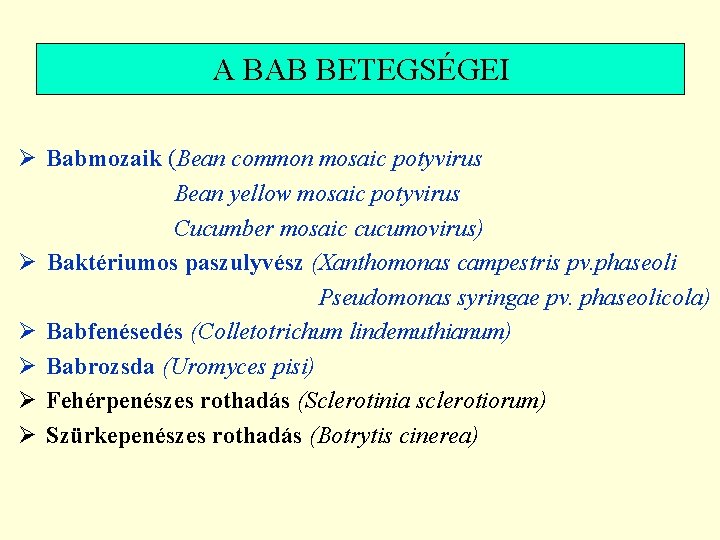 A BAB BETEGSÉGEI Ø Babmozaik (Bean common mosaic potyvirus Bean yellow mosaic potyvirus Cucumber