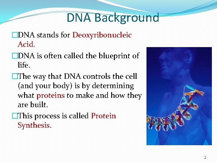 DNA Background �DNA stands for Deoxyribonucleic Acid. �DNA is often called the blueprint of