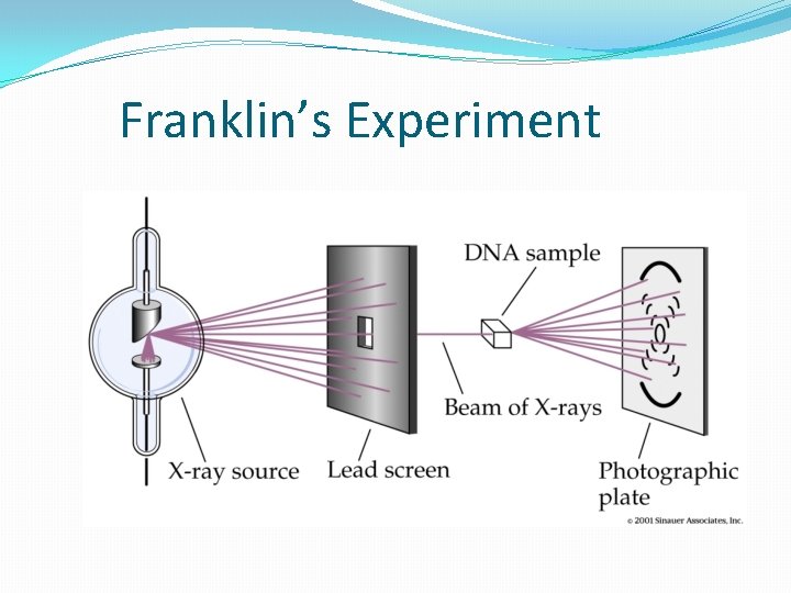 Franklin’s Experiment 