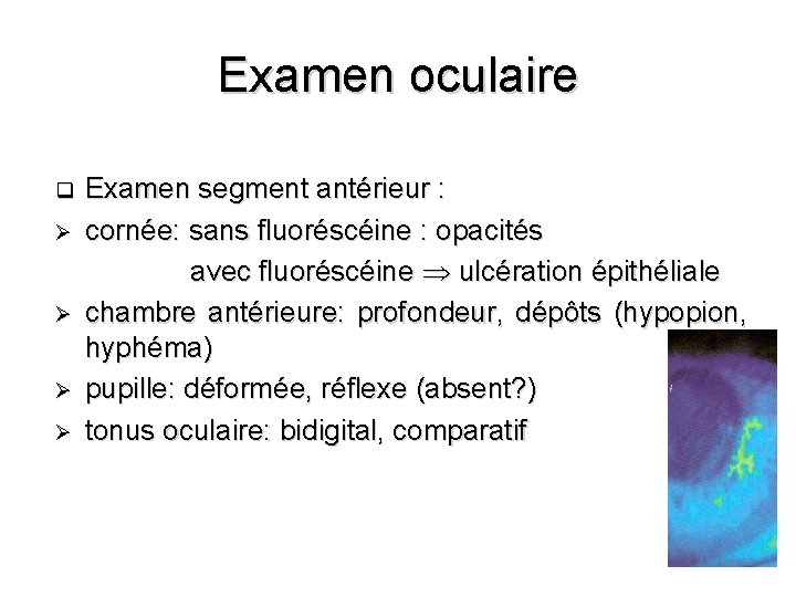 Examen oculaire Examen segment antérieur : Ø cornée: sans fluoréscéine : opacités avec fluoréscéine