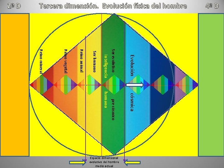 Evolución Ser evolutivo Inteligencia Ser humano Reino animal Reino vegetal Reino mineral cósmica pre