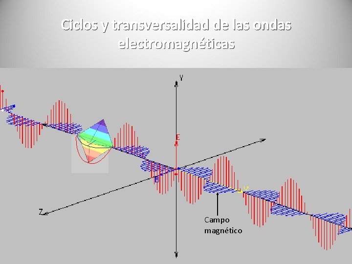 Ciclos y transversalidad de las ondas electromagnéticas Campo magnético 