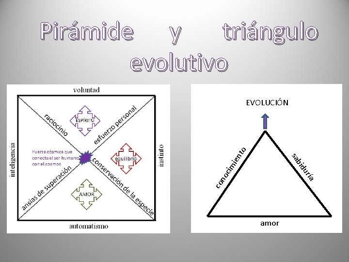 Pirámide y triángulo evolutivo co ía no ur cim bid sa ien to EVOLUCIÓN