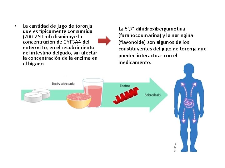  • La cantidad de jugo de toronja que es típicamente consumida (200 -250