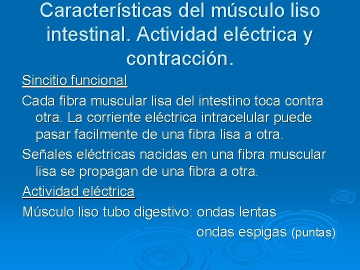 Características del músculo liso intestinal. Actividad eléctrica y contracción. Sincitio funcional Cada fibra muscular