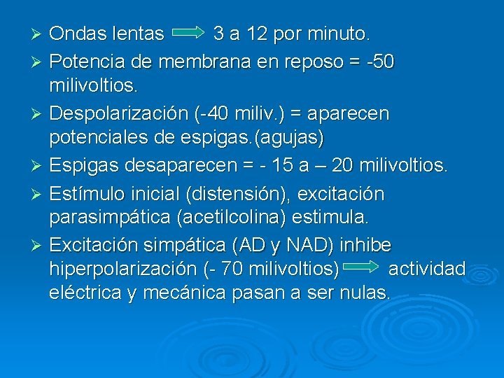 Ondas lentas 3 a 12 por minuto. Ø Potencia de membrana en reposo =