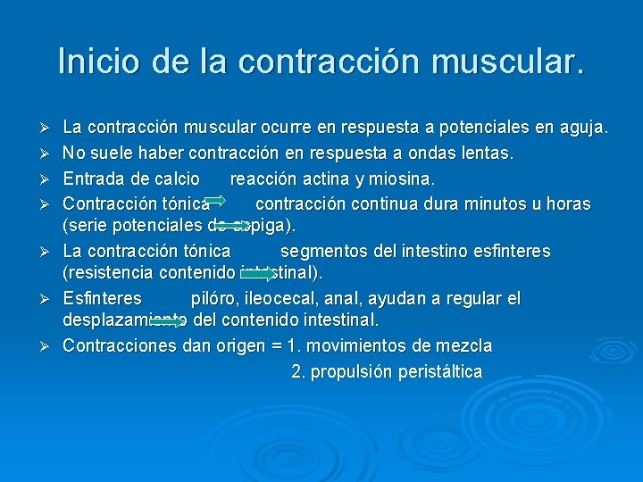 Inicio de la contracción muscular. Ø Ø Ø Ø La contracción muscular ocurre en