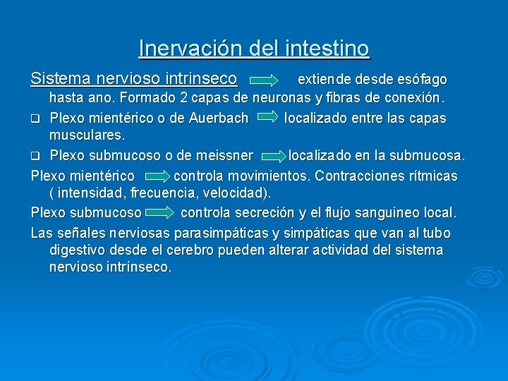 Inervación del intestino Sistema nervioso intrinseco extiende desde esófago hasta ano. Formado 2 capas