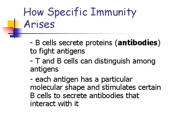 How Specific Immunity Arises - B cells secrete proteins (antibodies) to fight antigens -