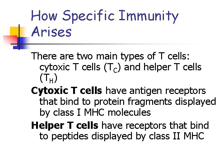 How Specific Immunity Arises There are two main types of T cells: cytoxic T