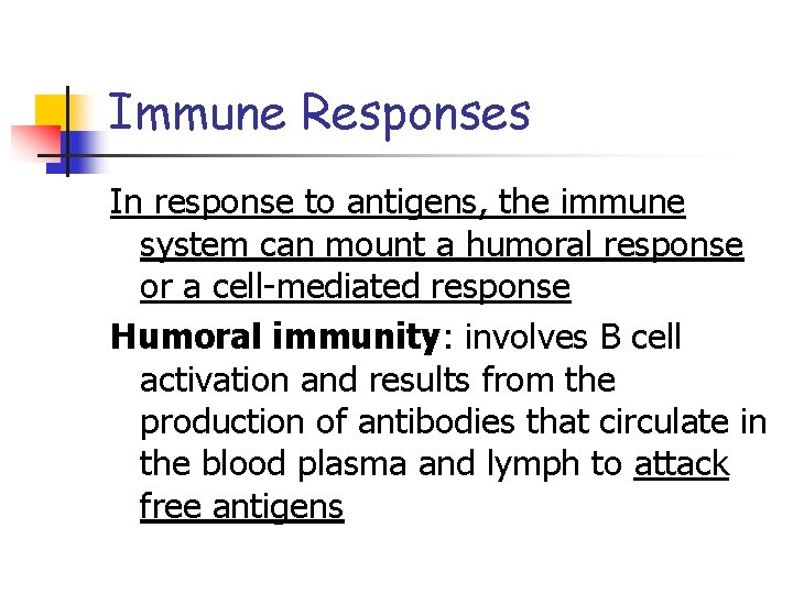 Immune Responses In response to antigens, the immune system can mount a humoral response
