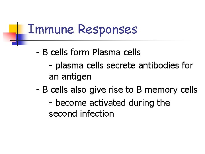 Immune Responses - B cells form Plasma cells - plasma cells secrete antibodies for