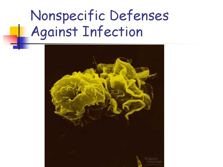 Nonspecific Defenses Against Infection 