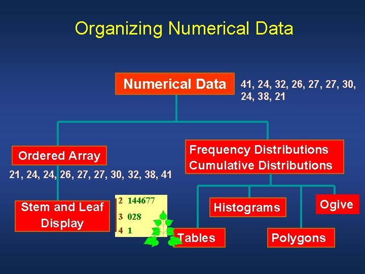 Organizing Numerical Data Ordered Array 21, 24, 26, 27, 30, 32, 38, 41 Stem
