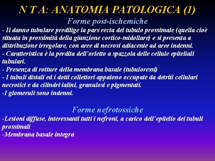 N T A: ANATOMIA PATOLOGICA (1) Forme post-ischemiche - Il danno tubulare predilige la