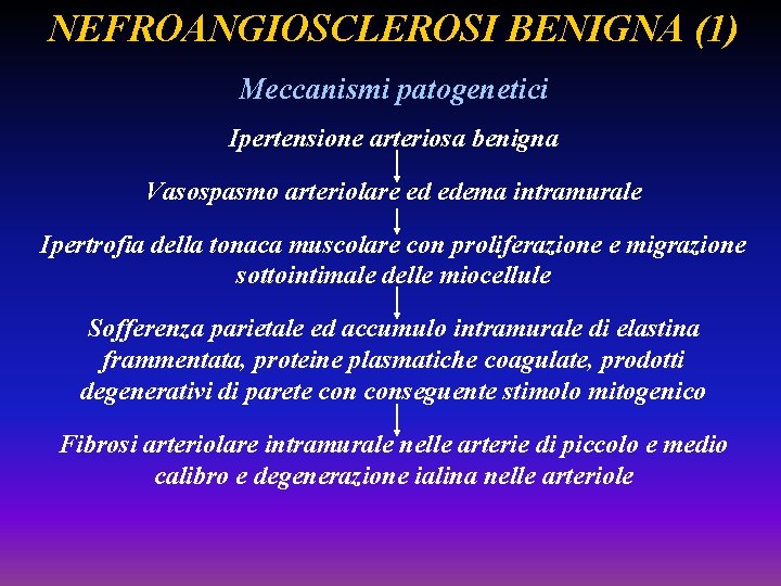 NEFROANGIOSCLEROSI BENIGNA (1) Meccanismi patogenetici Ipertensione arteriosa benigna Vasospasmo arteriolare ed edema intramurale Ipertrofia