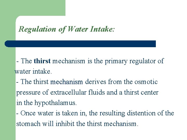 Regulation of Water Intake: - The thirst mechanism is the primary regulator of water