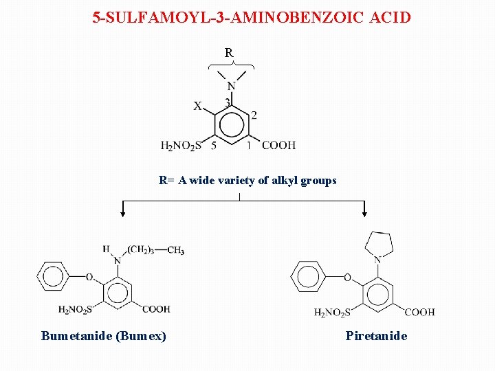 5 -SULFAMOYL-3 -AMINOBENZOIC ACID R R= A wide variety of alkyl groups Bumetanide (Bumex)