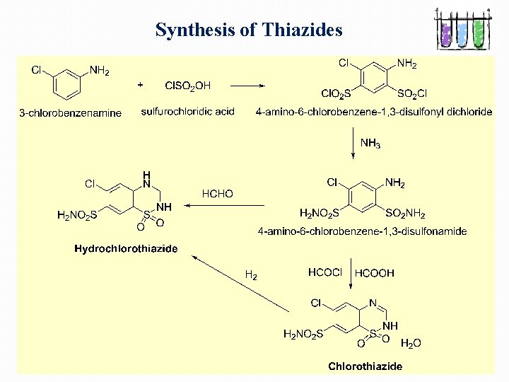 Synthesis of Thiazides 