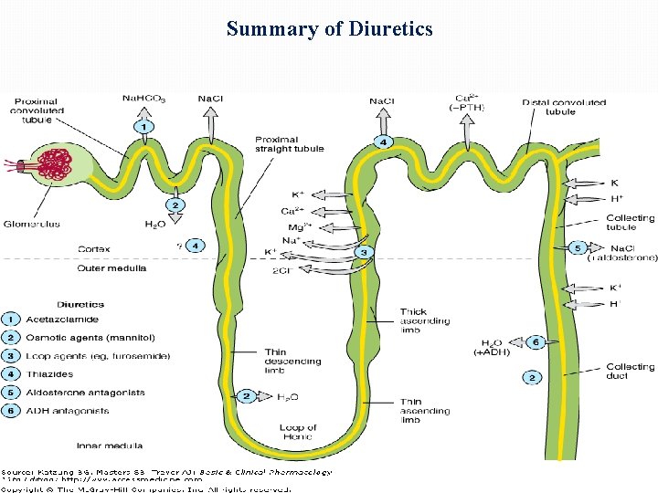 Summary of Diuretics 