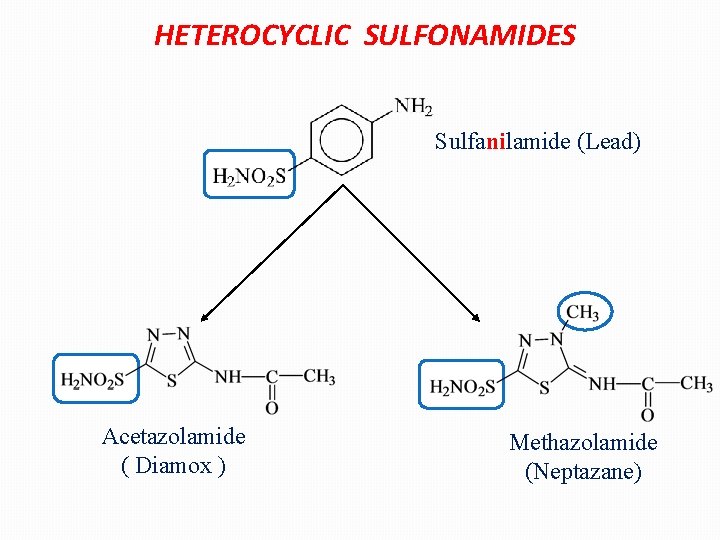HETEROCYCLIC SULFONAMIDES Sulfanilamide (Lead) Acetazolamide ( Diamox ) Methazolamide (Neptazane) 