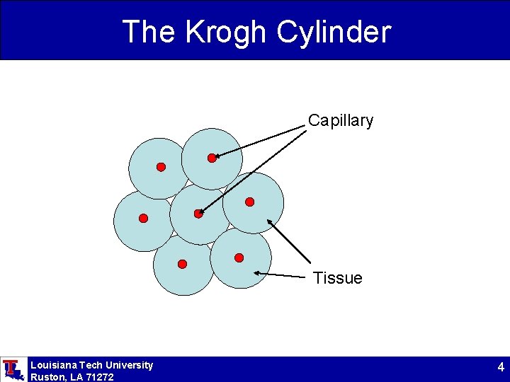 The Krogh Cylinder Capillary Tissue Louisiana Tech University Ruston, LA 71272 4 
